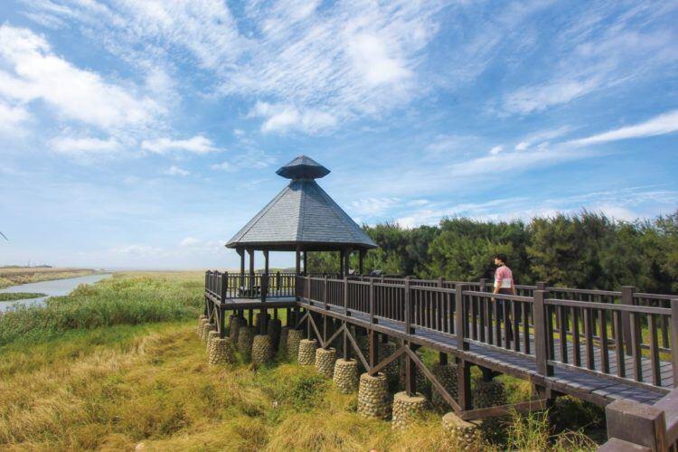 南埔鷺鷥林-圖片來源  台中市政府觀旅局