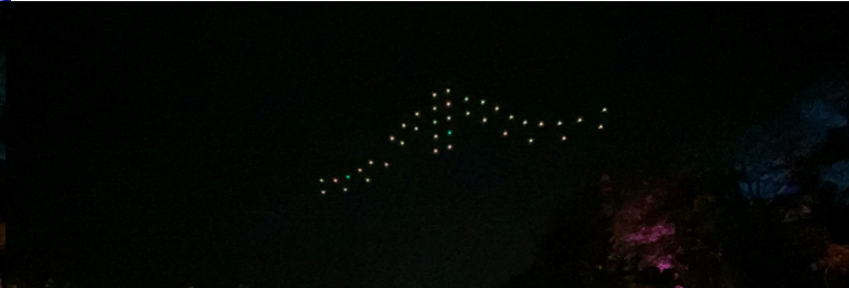 豐遊系列  冬豐站  希望