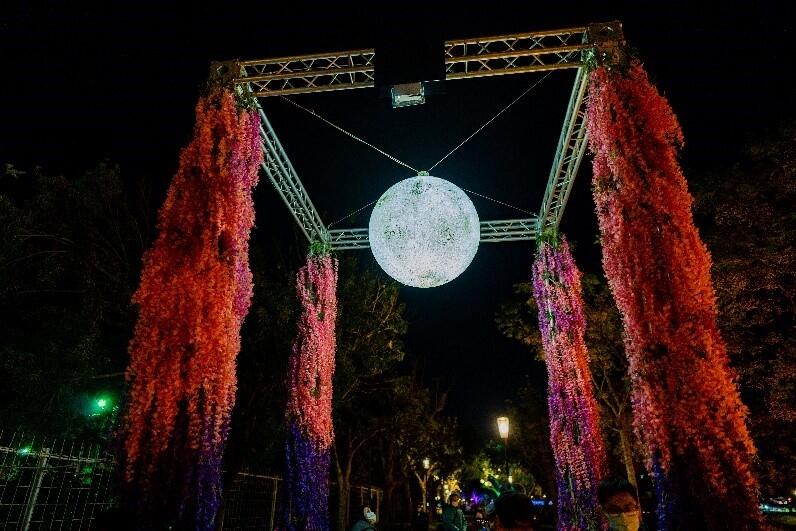 The face of the moon