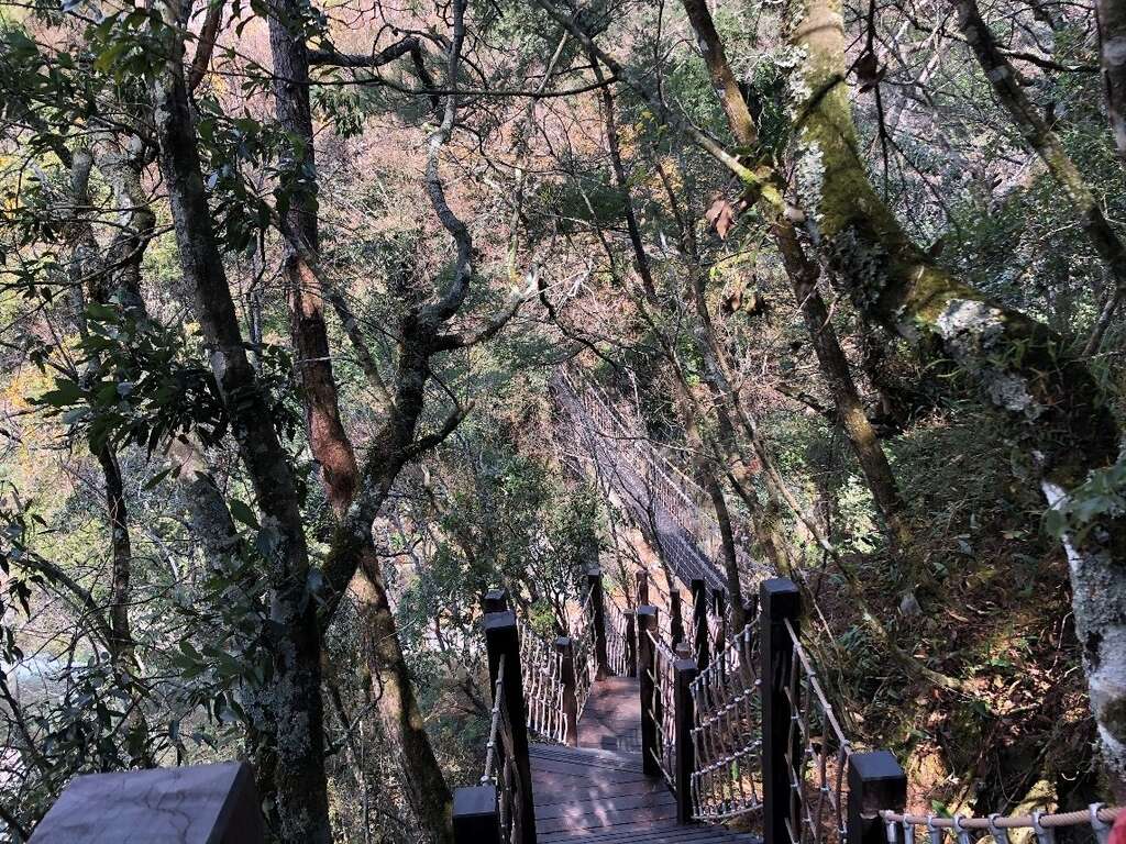 臺中市登山推廣—探索環山獵人登山步道