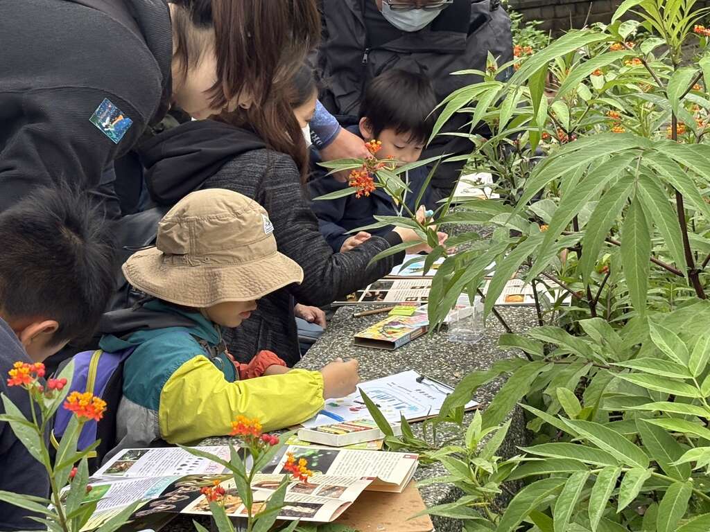 2026 Dakeng Butterfly and Firefly Carnival